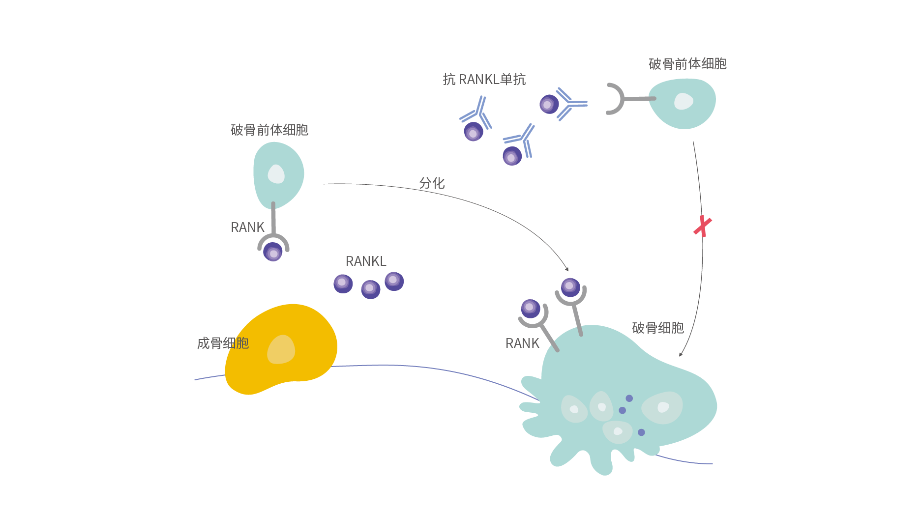 尊龙凯时 - 人生就是博!(中国区)官网