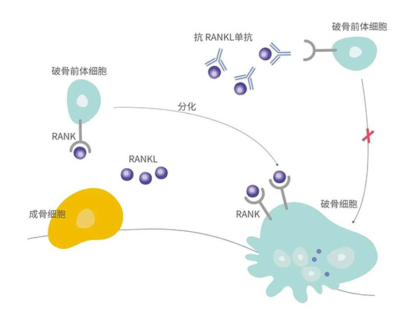 尊龙凯时 - 人生就是博!(中国区)官网