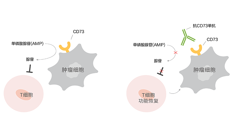 尊龙凯时 - 人生就是博!(中国区)官网