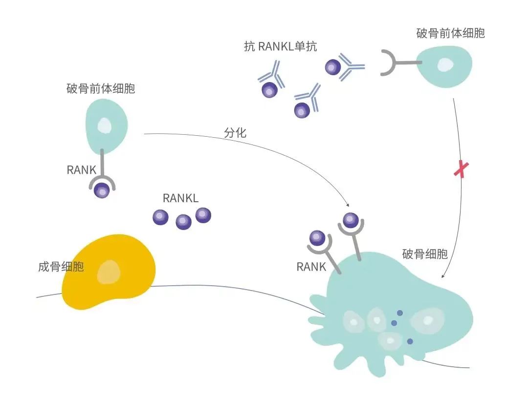 尊龙凯时 - 人生就是博!(中国区)官网