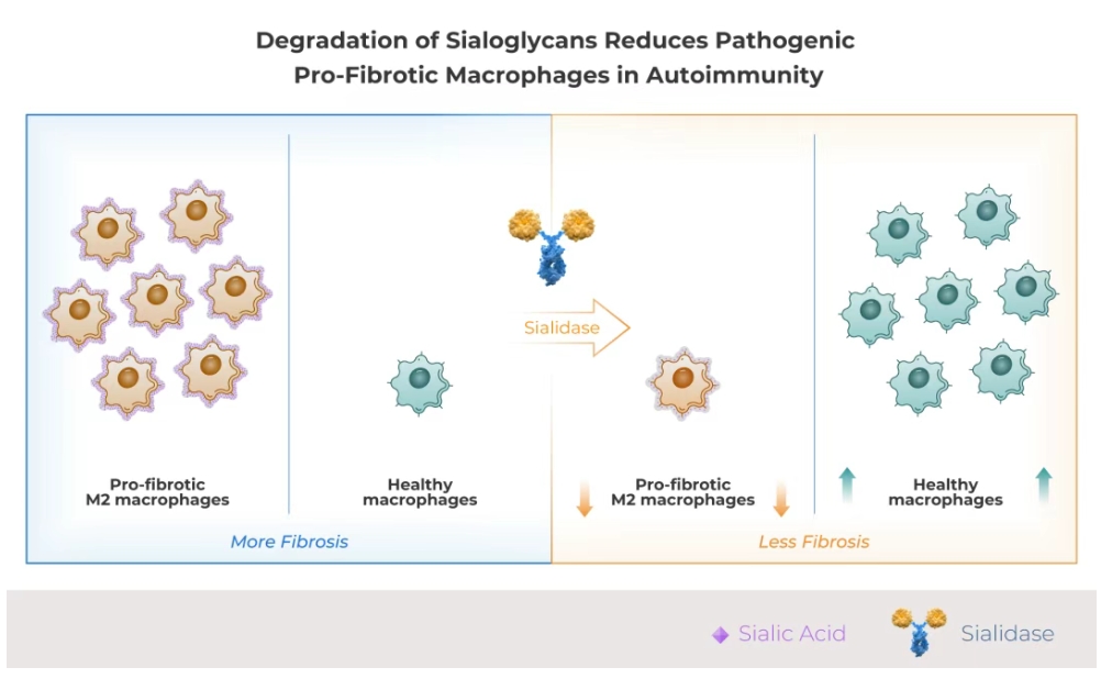 尊龙凯时 - 人生就是博!(中国区)官网